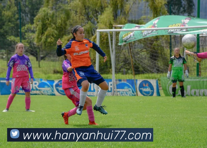 米兰体育官方网站，米兰体育，米兰体育官网平台生态图